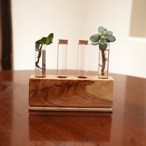 May include: A wooden propagation station with four clear glass tubes, each holding a plant cutting. The wooden base has a natural wood grain finish. Two tubes have cork stoppers. The plants have green leaves.
