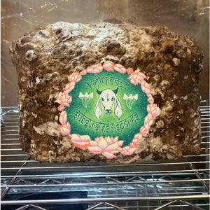 May include: A large, brown, irregularly shaped rock with a green and pink circular sticker on the front. The sticker features a white cow with a green halo and the text "Holy Cow" in Hindi. The text "Suberates & Exports" is also on the sticker.