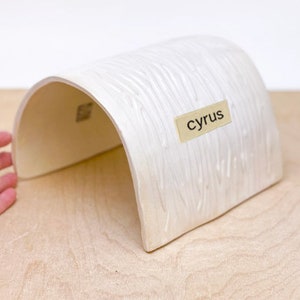 May include: White ceramic arched tunnel with a textured surface and a label that reads "cyrus".