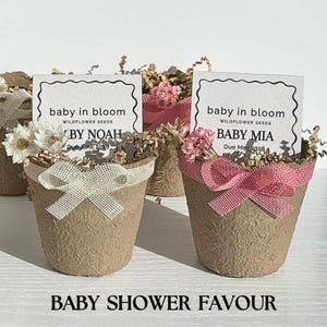 Può includere: Bomboniere per baby shower con piccoli vasi colorati naturalmente pieni di semi di fiori selvatici. Ogni vaso è adornato con un nastro e una carta che recita "baby in bloom" e il nome del bambino e la data di nascita. Il testo "Baby Shower Favor" è in basso.