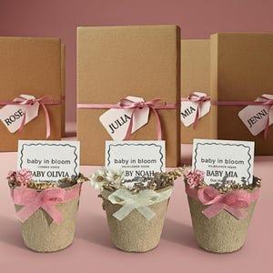 Könnte beinhalten: Geschenkboxen mit rosa Schleife und Namensschildern, neben kleinen Töpfen mit Blumen und Samentütchen. Die Töpfe sind mit Bändern verziert und tragen den Text "baby in bloom" und Babynamen.