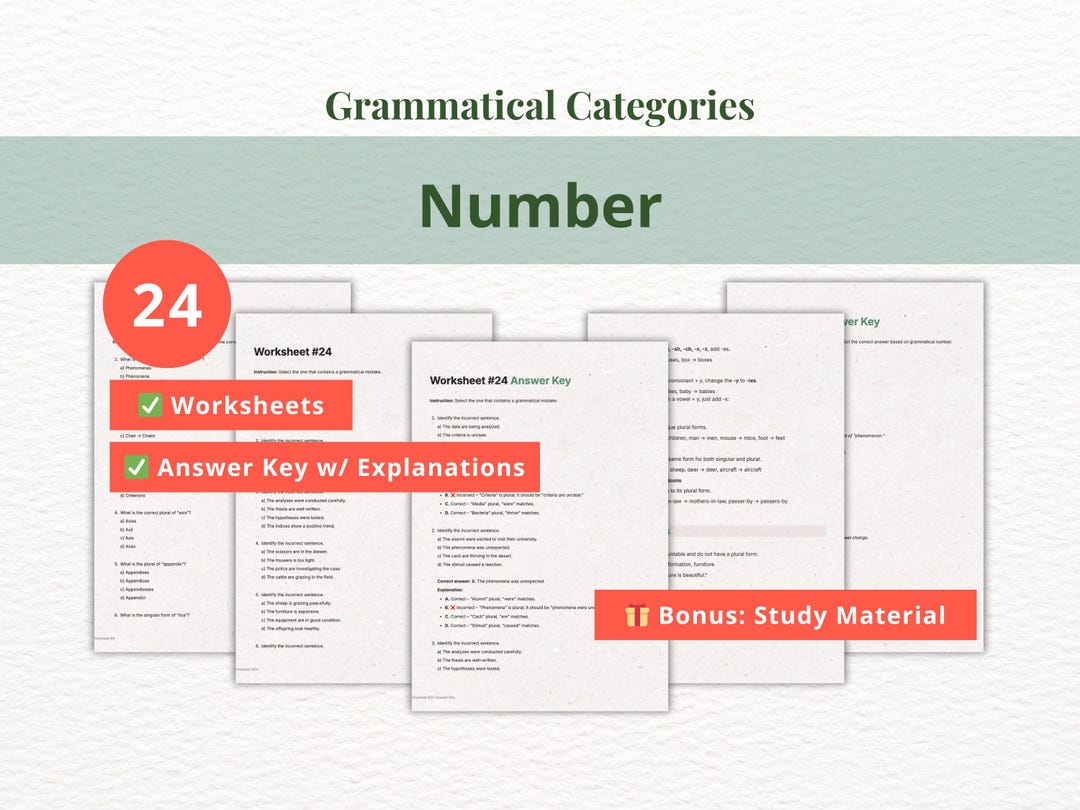 Grammatical Number Lesson: English Grammar Worksheet & Answer Key (PDF ...