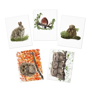 Schattige dieren in de natuur Wenskaarten voor alle gelegenheden, milieuvriendelijke kaarten