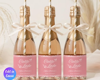 Etichetta modificabile Cielito Lindo Baby Shower Mini Champagne, tema messicano Talavera, Baby Shower messicano, Papel Picado, Cielito Lindo Decor