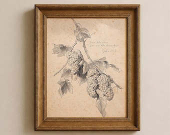Johannes 15,5: Ich bin der Weinstock – Bibelvers-Kunstdruck | Christliche botanische Wandkunst