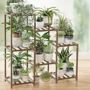 May include: A brown, multi-tiered plant stand filled with various potted plants. The stand has a square frame with slatted shelves, showcasing a variety of green foliage and decorative pots. The arrangement creates a layered display of indoor plants.