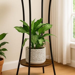 May include: A two-tiered plant stand with a dark brown wooden top and base, supported by black metal legs. A potted plant with green leaves sits on the stand. The pot is white with a gray geometric pattern.