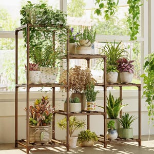 May include: A multi-tiered, brown wooden plant stand filled with various potted plants. The stand has a rectangular frame with multiple shelves, showcasing a variety of green and colorful foliage. The plants are in different sized pots, creating a visually appealing display.