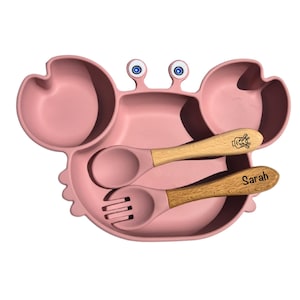 Personalized Silicone Meal Set / Baby Child Birthday Birth Gift / Suction Plate Meal Kit