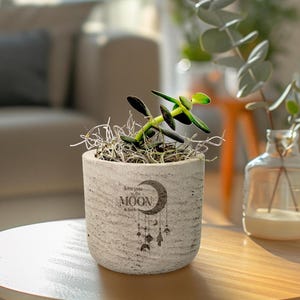 May include: A gray concrete planter with a moon and stars design. The planter has the text "Love you to the moon & back" on it. A small green plant is growing in the planter.