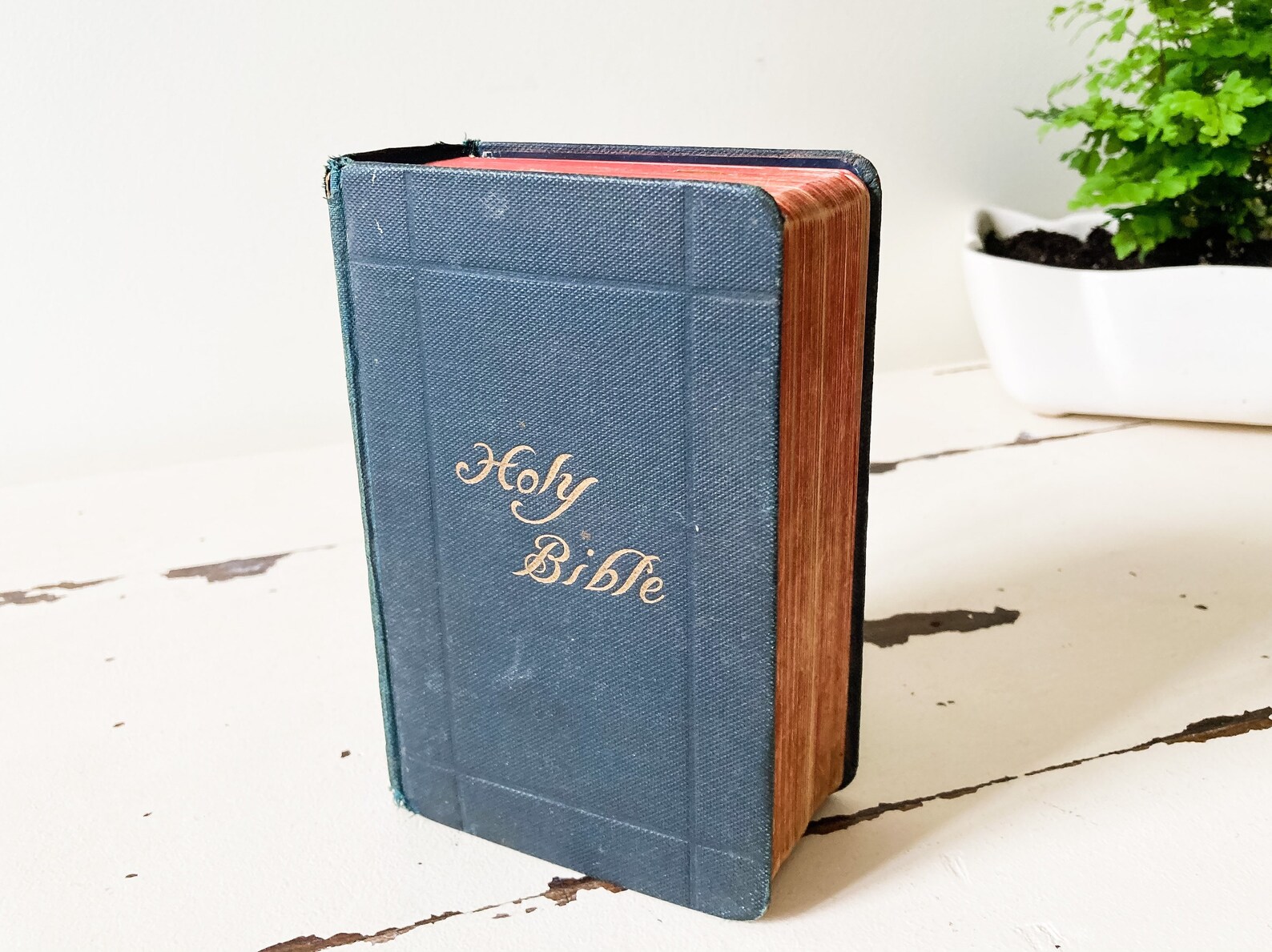 Antique 1903 Pocket Bible Etsy