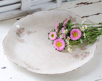 Antique Stained and Crazed  D. E. McNicol Ironstone Transferware Floral Platter