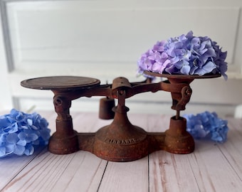 Antique Chippy Red Cast Iron Scale