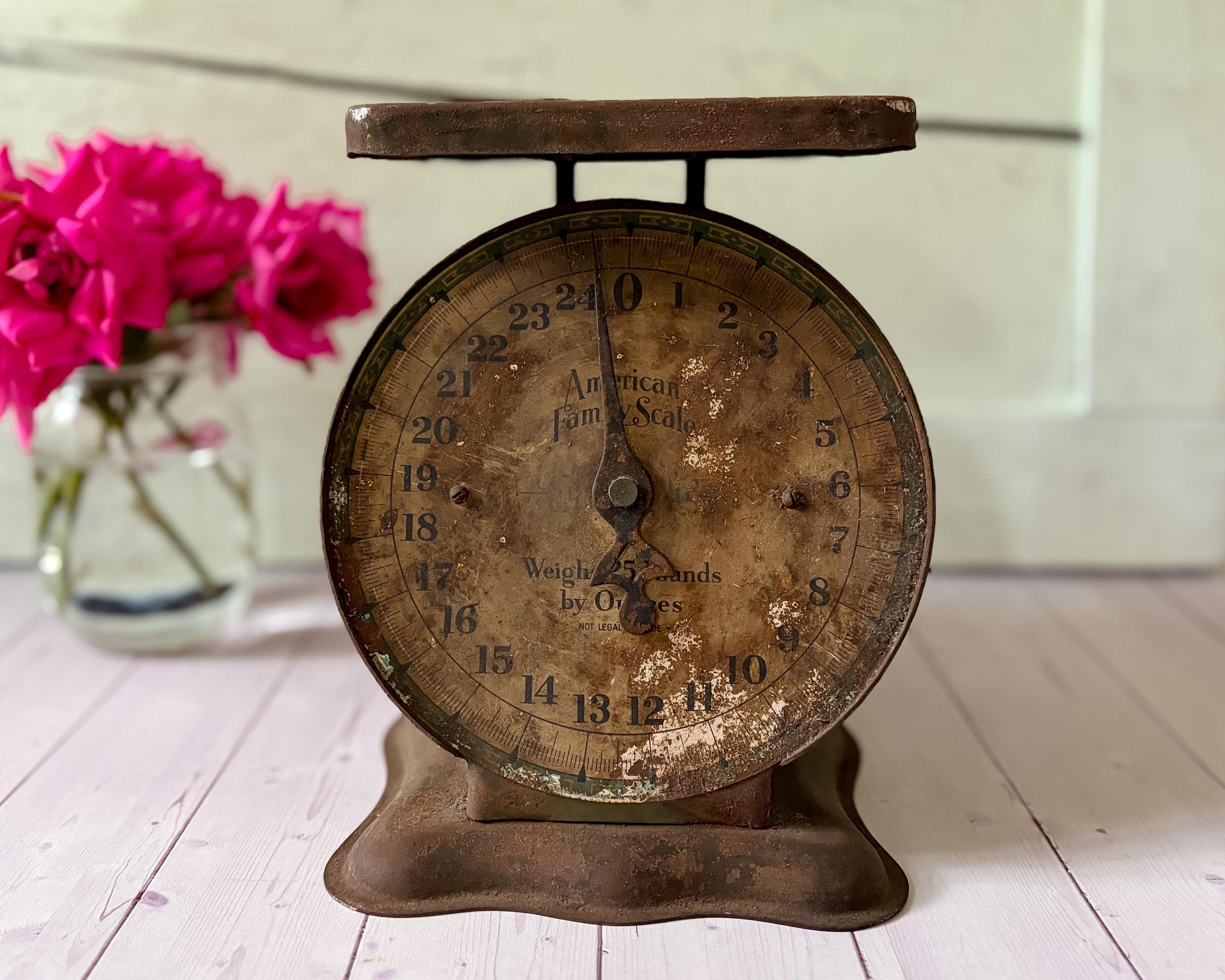 Antique American Family Scale - Etsy