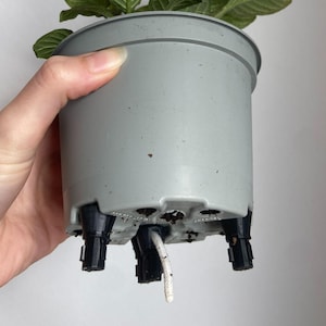 May include: A gray plastic plant pot with drainage holes and black feet. A white string is coming out of the bottom of the pot.