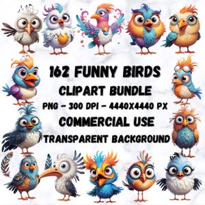 162 Lustiges Vogel-Clipart-Set - Süße & verrückte Vogel-PNGs, skurrile Illustrationen, einzigartige, skurrile Bilder, perfekt für Geschenke, kommerzielle Nutzung