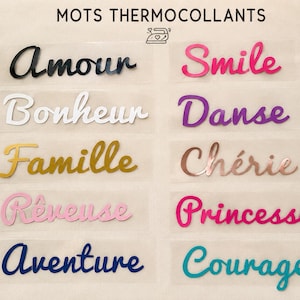 Peut inclure: Un ensemble de dix mots thermocollants en transfert à chaud, présentés dans diverses couleurs et polices cursives. Les mots incluent Amour, Smile, Bonheur, Danse, Famille, Chérie, Rêveuse, Princesse, Aventure et Courage sur support transparent.