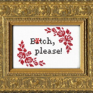 Subversive Cross Stitch Kit: B*tch, Please!