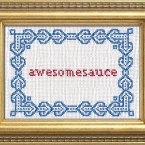 Subversive Cross Stitch Kit: Awesomesauce