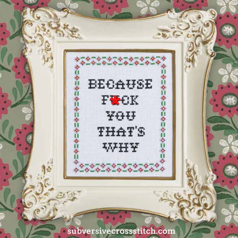 Subversive Cross Stitch Kit Because Fck You That's Why Etsy