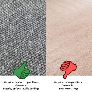 Peut inclure: Deux &eacute;chantillons de moquette c&ocirc;te &agrave; c&ocirc;te. L'&eacute;chantillon de gauche a des fibres courtes et serr&eacute;es et est &eacute;tiquet&eacute; "Moquette &agrave; fibres courtes et serr&eacute;es. Fr&eacute;quent dans : les &eacute;coles, les bureaux, les b&acirc;timents publics". L'&eacute;chantillon de droite a des fibres plus longues et est &eacute;tiquet&eacute; "Moquette &agrave; fibres plus longues. Fr&eacute;quent dans : la plupart des maisons, les tapis".