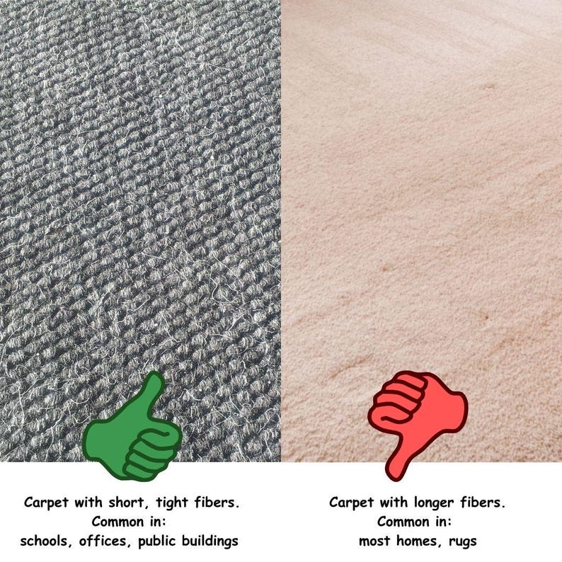 Peut inclure: Deux &eacute;chantillons de moquette c&ocirc;te &agrave; c&ocirc;te. L'&eacute;chantillon de gauche a des fibres courtes et serr&eacute;es et est &eacute;tiquet&eacute; "Moquette &agrave; fibres courtes et serr&eacute;es. Fr&eacute;quent dans : les &eacute;coles, les bureaux, les b&acirc;timents publics". L'&eacute;chantillon de droite a des fibres plus longues et est &eacute;tiquet&eacute; "Moquette &agrave; fibres plus longues. Fr&eacute;quent dans : la plupart des maisons, les tapis".