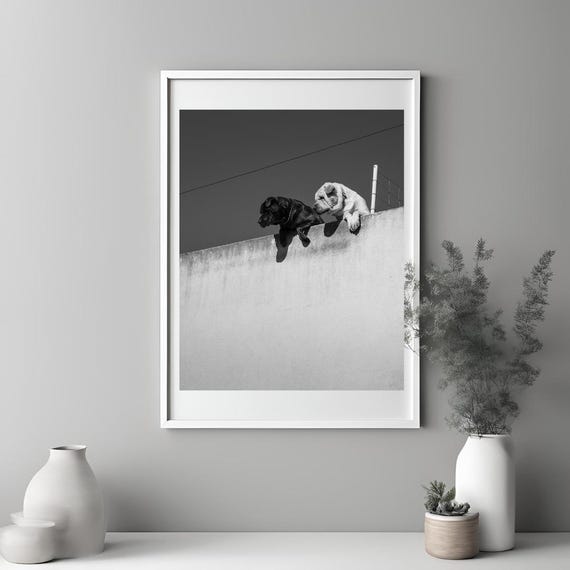 Black and white photography, travel poster, fine art print, dog print, wall art, home decor