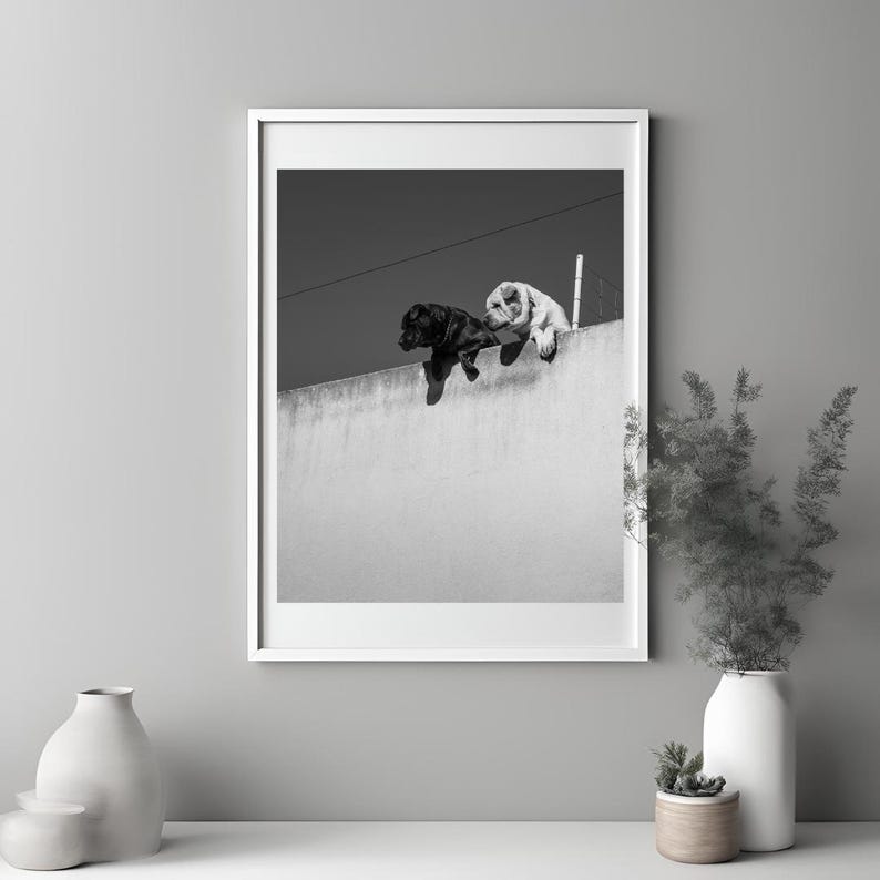 May include: Black and white photo of two dogs looking over a wall. The dog on the left is black and the dog on the right is white.