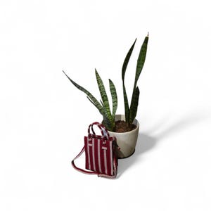 May include: A small, red tote bag with white vertical stripes and a matching shoulder strap. The bag is next to a potted snake plant with long, green and yellow striped leaves. The pot is a light beige colour.