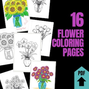 Páginas para colorir de flores: 16 designs botânicos - Rosa, Hibisco, Magnólia (download em PDF)