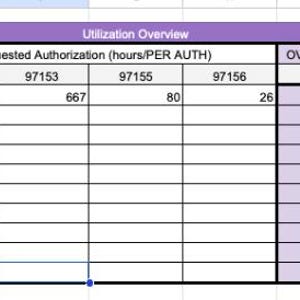 May include: A spreadsheet table with a purple header row and light purple rows. The table shows a list of clients with their HIPAA names, authorisation expiration dates, insurance, and overall percentage of authorisation utilisation. The table is divided into columns for each client, with the columns labelled "Client", "HIPPA Names", "Auth Expiration", "Insurance", "97153", "97155", "97156", "97153", "97155", and "97156". The table shows that Client 1 has an authorisation expiration date of 09-15-24 and an insurance of BSBC. The table also shows that Client 1 has an overall percentage of authorisation utilisation of 75.26% for 97153, 55.00% for 97155, and 66.35% for 97156.