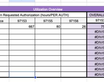 Autorisatiegebruik en toezichtpercentage tracking
