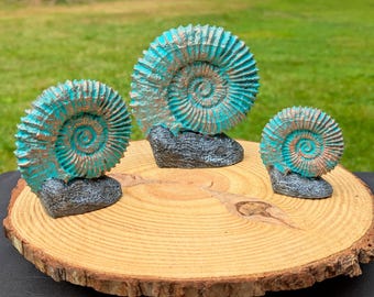 Ammonite copper fossil sculpture