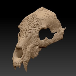 May include: A detailed, 3D printed skull with intricate Celtic knotwork designs carved into the surface. The skull is a light brown color and appears to be made of a smooth, hard material.