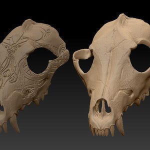 Peut inclure: Deux sculptures de crânes d'animaux beiges. L'un des crânes présente des motifs sculptés complexes, tandis que l'autre est uni. Les deux crânes ont de grandes orbites, une cavité nasale et des dents pointues, sur fond sombre.