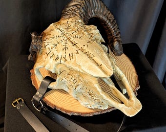 Ram skull shoulder armor