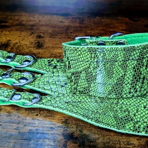 May include: A set of four green leather dog collars with a snake skin pattern. The collars have silver metal buckles.