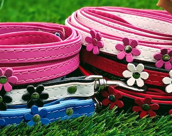 Lederhund Welpe LEINEN WIMPERN Gänseblümchen BLUME Dekoriert Bunt