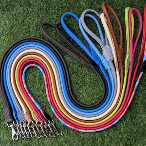 May include: A collection of colorful leather dog leashes with silver clasps. The leashes are arranged in a fan shape with the clasps at the bottom.