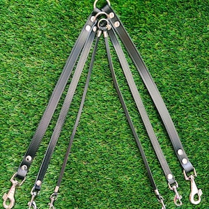 Op de afbeelding: Zwarte leren hondenriem met meerdere bevestigingspunten. De riem heeft een centrale ring en meerdere riemen met metalen karabijnhaken. De achtergrond is groen.