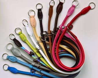 COLLIERS POUR Chiens RAS DE COU SLIP en cuir véritable laminé rond COLORÉ