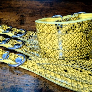 May include: Three yellow leather dog collars with a snake skin pattern. The collars have silver metal buckles and D-rings.