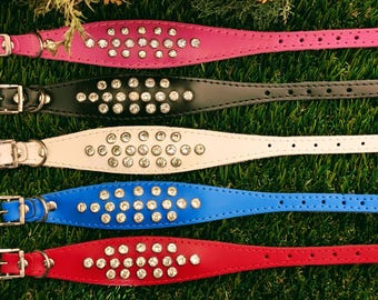 May include: Five colorful dog collars in pink, black, white, blue, and red, each adorned with sparkling rhinestones. The collars have silver-tone buckles and are displayed on a bed of green grass.