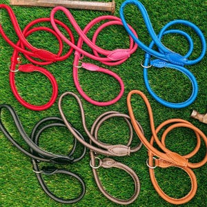 Peut inclure: Six laisses pour chien en cuir roulé de couleurs rouge, rose, bleu, noir, marron foncé et beige. Chaque laisse présente une poignée circulaire, un renfort en cuir cousu à la base de la poignée et un anneau métallique pour le collier.