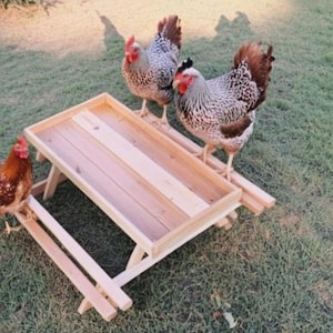 DIY Chicken Picnic Table Plans: Backyard Poultry Project (digital ...