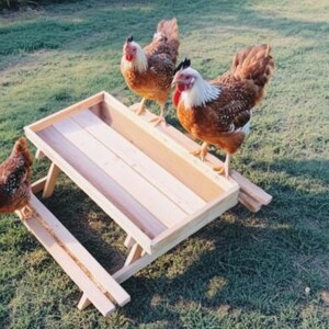 DIY Chicken Picnic Table Plans: Backyard Poultry Project (digital ...