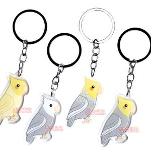 Valkparkiet Sleutelhanger | Parkiet | Cartoon Vogel Ras Bedel | Cute Kawaii Dieren Kado | Acrylic Dubbelzijdige Hanger Cadeau