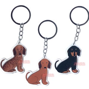 Teckel Hond Sleutelhanger | Cartoon Honden Ras Bedel | Cute Kawaii Puppy Dieren Kado | Acrylic Dubbelzijdige Hanger Cadeau