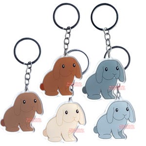 Hangoor Konijn Sleutelhanger | Cartoon Konijn Ras Bedel | Cute Kawaii Dieren Kado | Acrylic Dubbelzijdige Hanger Cadeau