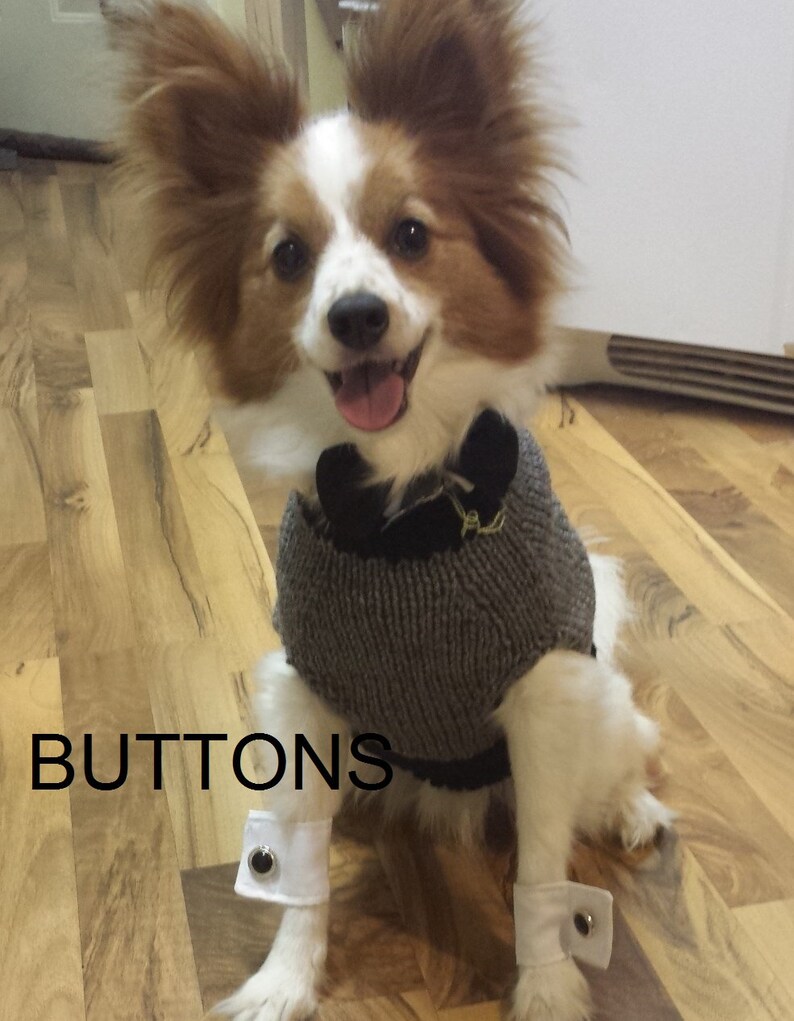 sweater that buttons up the back